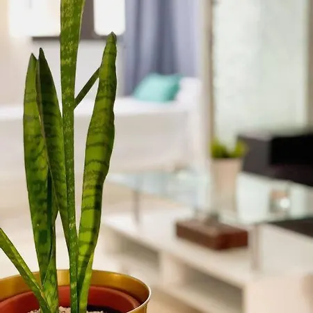 Oceano Azul Luminoso 50 Metros Del Mar En Centro *