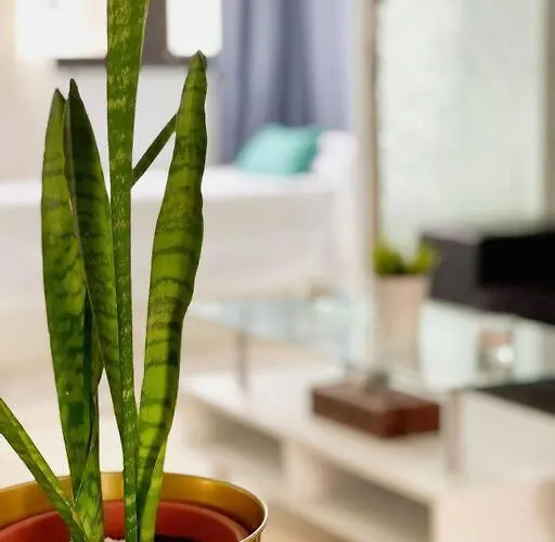 Oceano Azul Luminoso 50 Metros Del Mar En Centro *